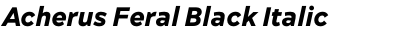 Acherus Feral Black Italic
